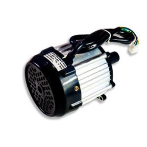 Ebike Motors and Controllers