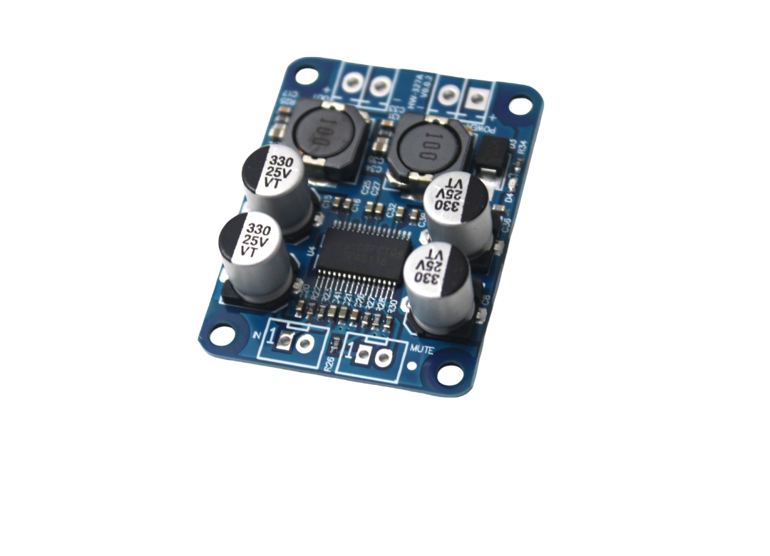 Module Amplificateur Numérique Mono TPA3118 60W - Alimentation DC 8-24V - Pour Haut-parleurs 4-8 Ohms - 4