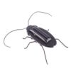 Solar Powered Vibrating Black Cockroach Bug
