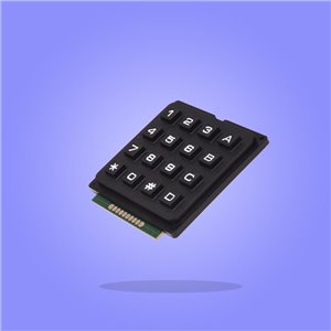 Electronic Switches/Keypads Modules